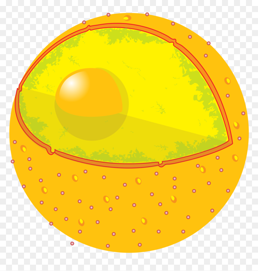 Sun Png, Transparent Png - sun png