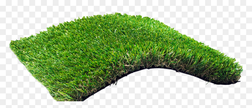 Artificial Grass Png, Transparent Png - grass png