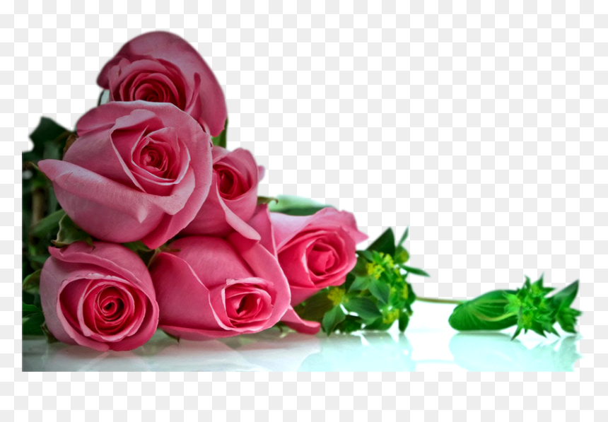 Happy Anniversary Wishes, HD Png Download - rose png