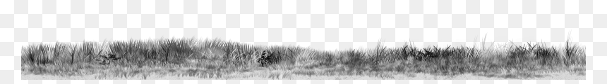 Sketch, HD Png Download - grass png