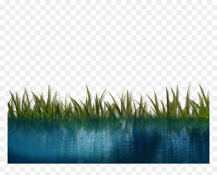 Grass And Water Png, Transparent Png - water png