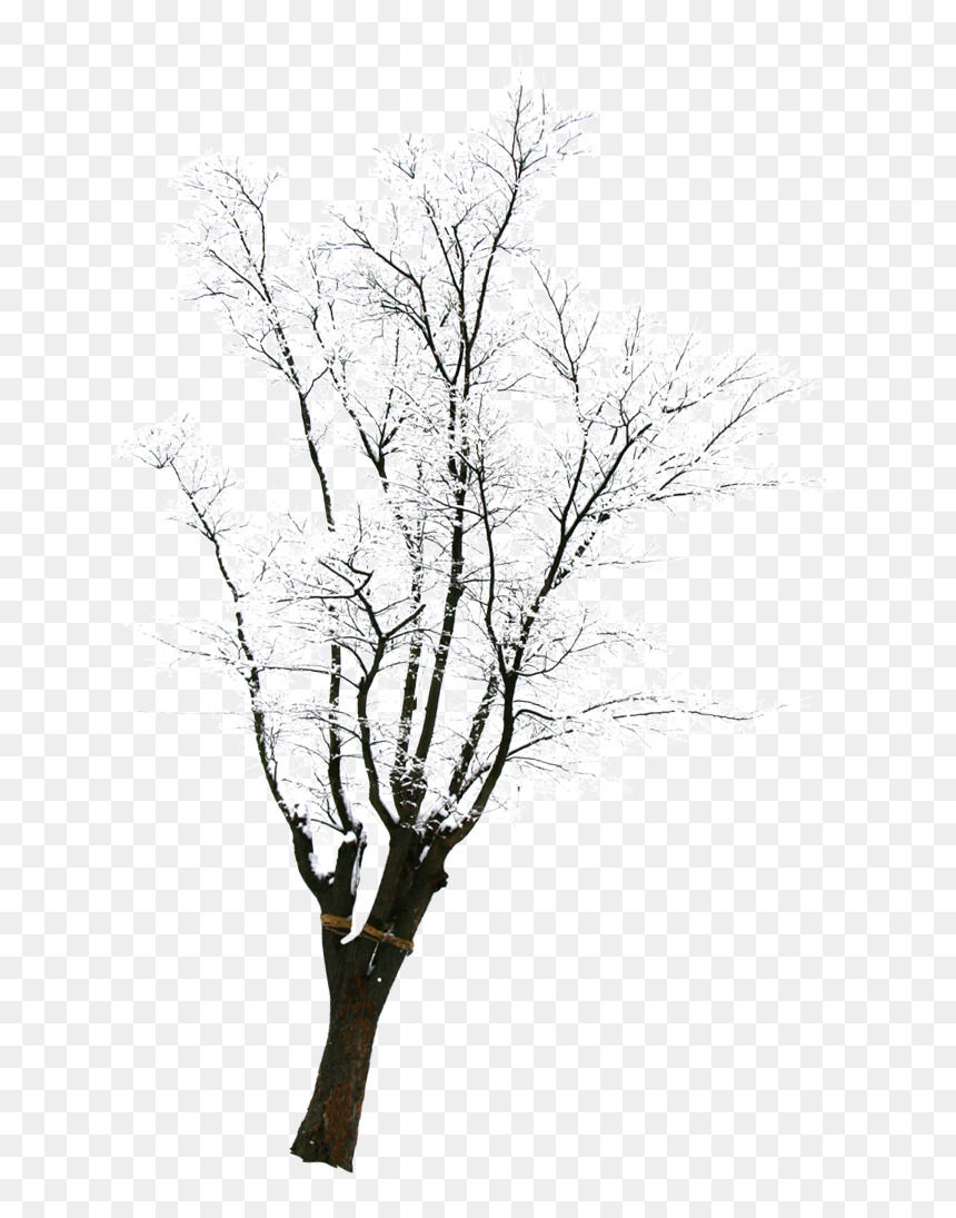 Silhouette, HD Png Download - snow png