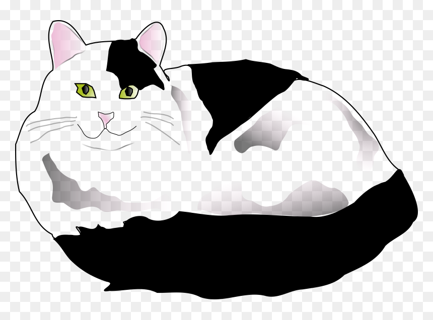 White And Black Cat Png, Transparent Png - cat png