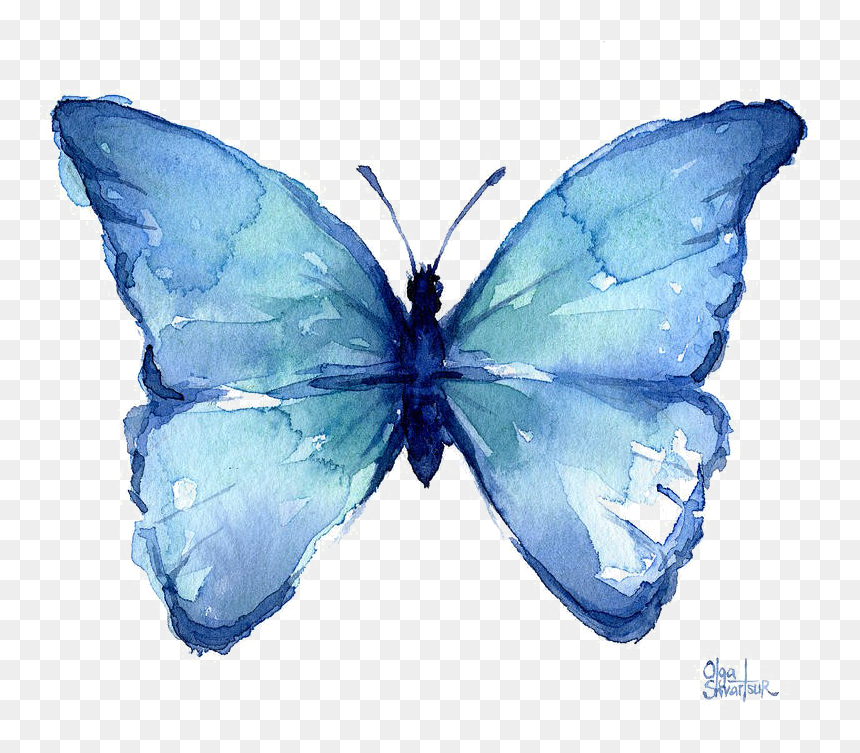 Watercolor Blue Butterfly, HD Png Download - butterfly png