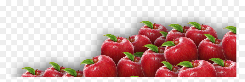 Lot Of Apples Png, Transparent Png - apple png