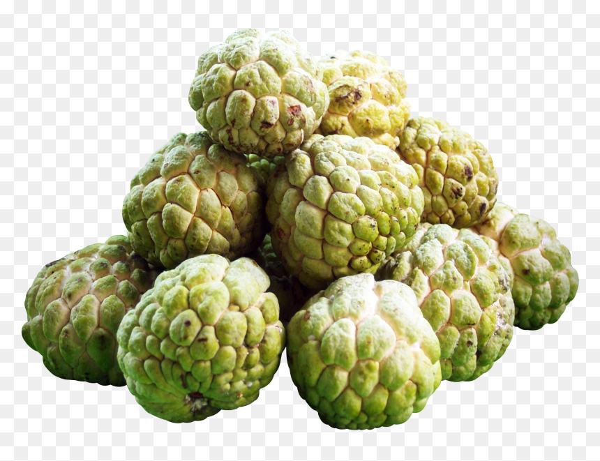 Custard Apple Png, Transparent Png - apple png