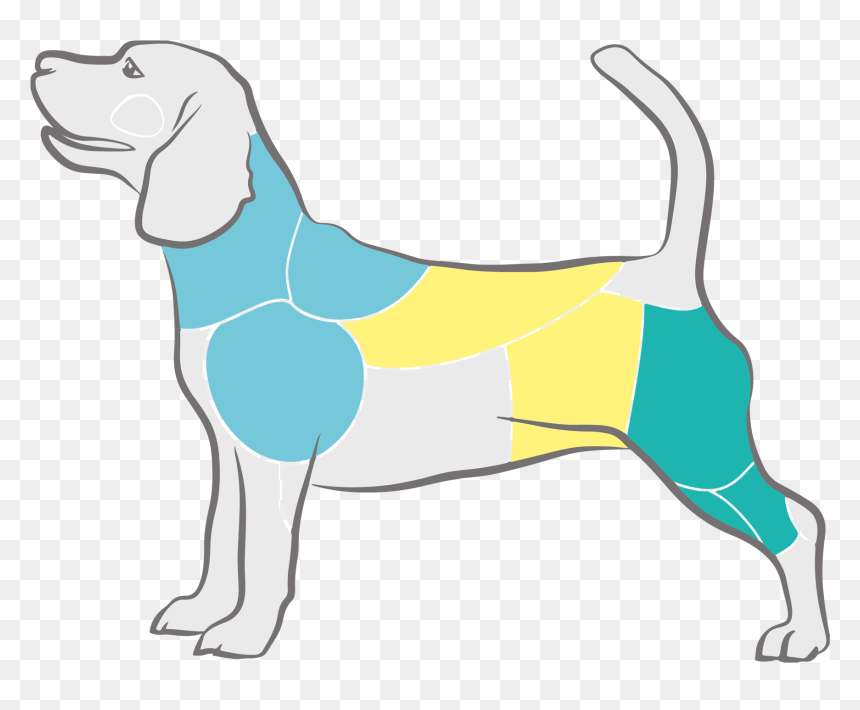 Harrier, HD Png Download - dog png