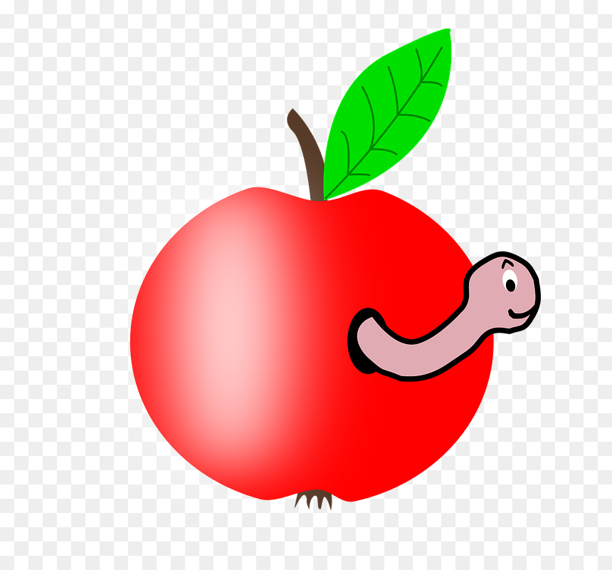 Apple In A Worm, HD Png Download - apple png