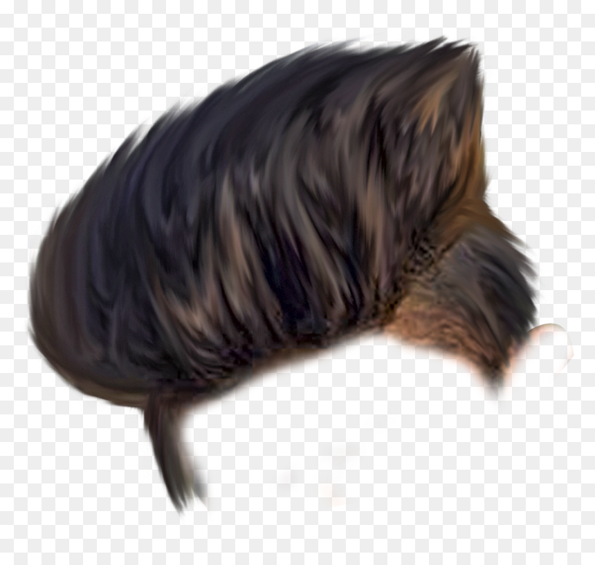 Png Hair, Transparent Png - hair png