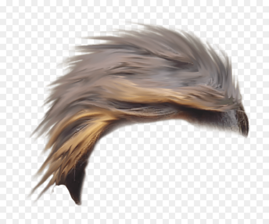 Transparent Background Hair Png, Png Download - hair png