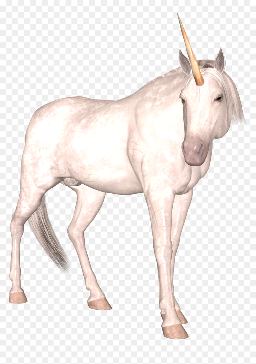 Unicorn, HD Png Download - unicorn png