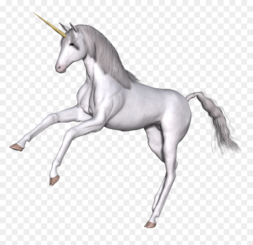 Scottish Unicorn Kids, HD Png Download - unicorn png