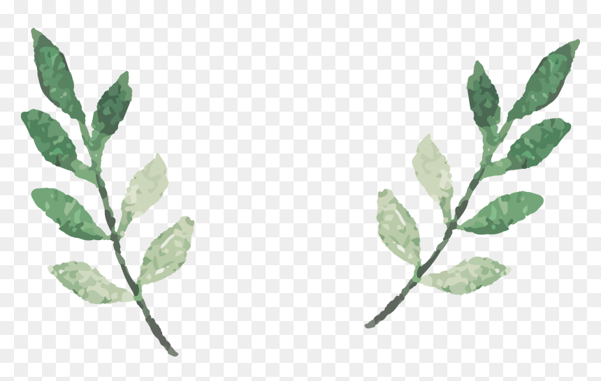 Watercolor Leaves Transparent Background, HD Png Download - leaf png