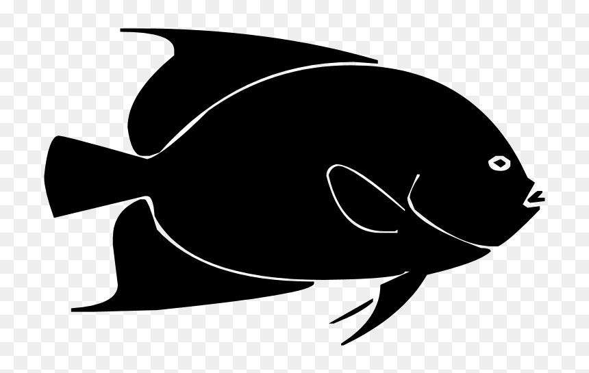 Pomacentridae, HD Png Download - fish png