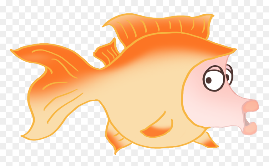 Goldfish, HD Png Download - fish png