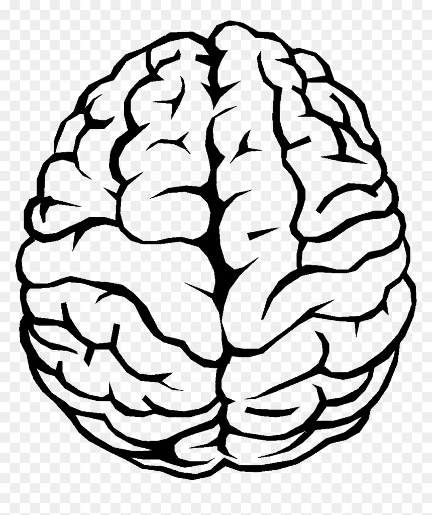 Brain Drawing Pdf, HD Png Download - brain png