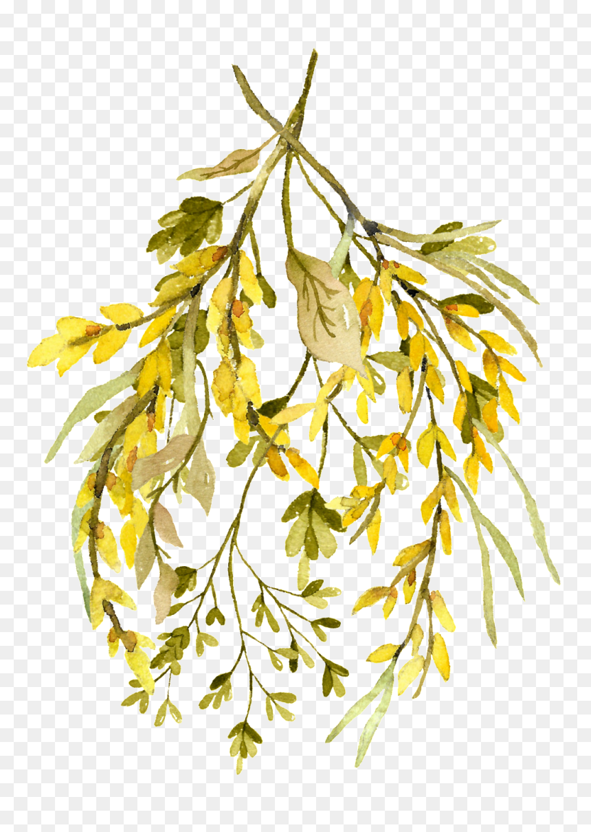 Fall Watercolor Leaves Png, Transparent Png - leaf png
