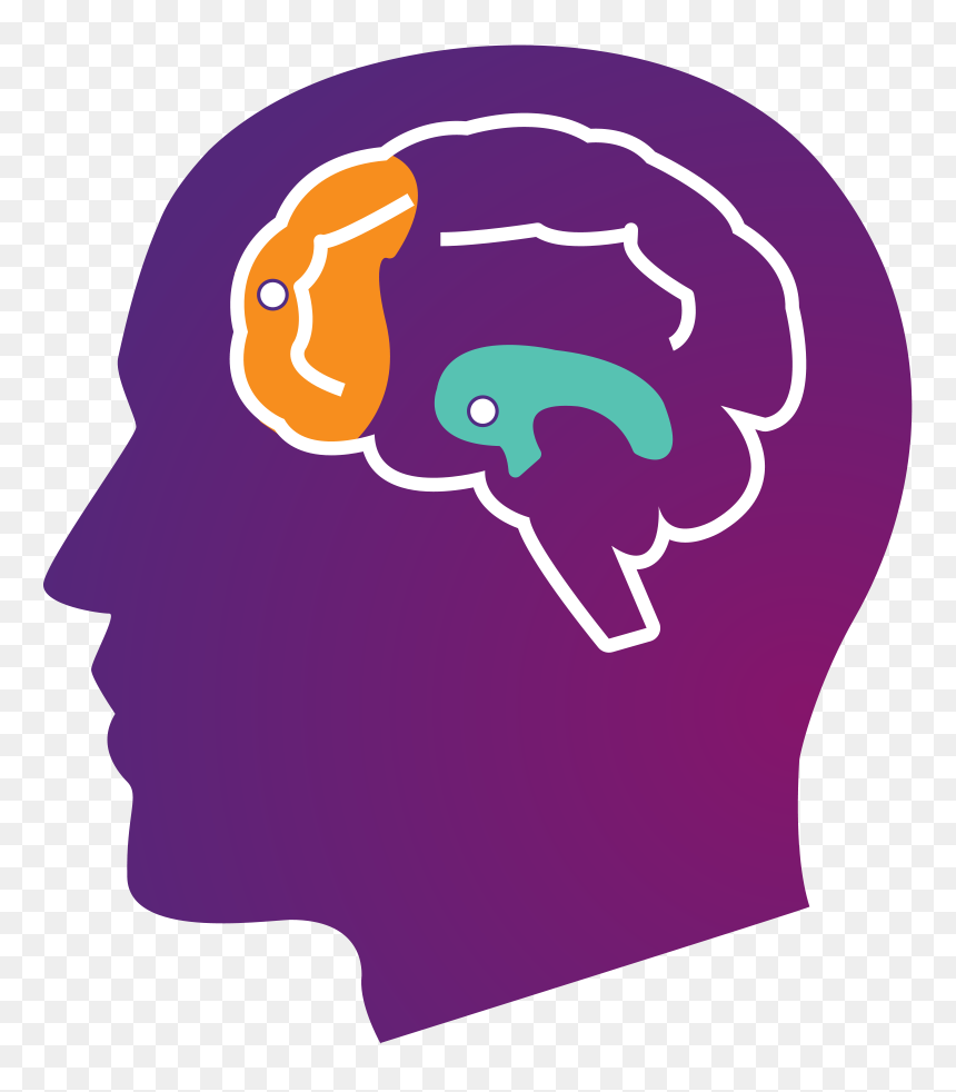 Portable Network Graphics, HD Png Download - brain png