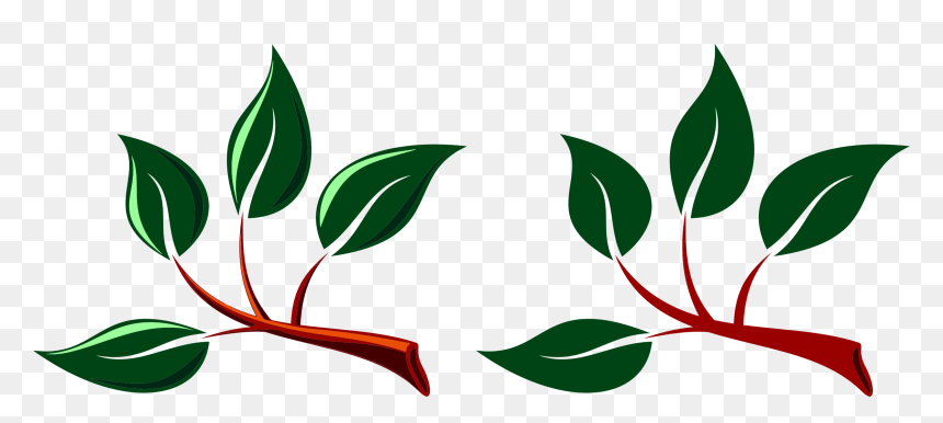 Branches With Leaves Clipart, HD Png Download - leaf png