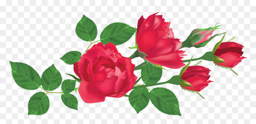Rose And Leaf Png, Transparent Png - leaf png