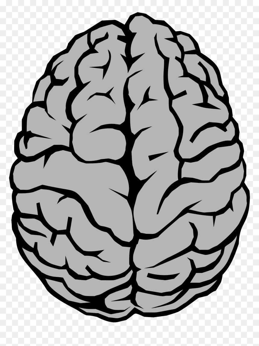 Brain Drawing, HD Png Download - brain png