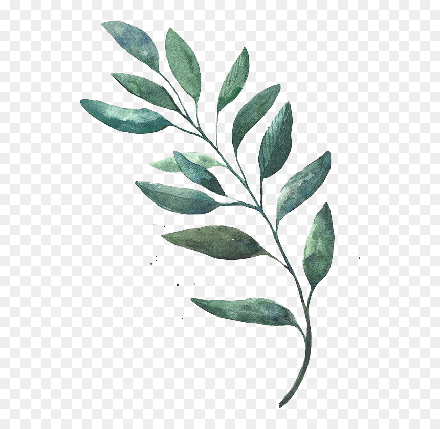 Watercolor Leaves Png Free, Transparent Png - leaf png