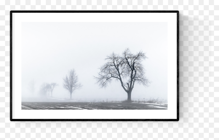 Oak, HD Png Download - fog png