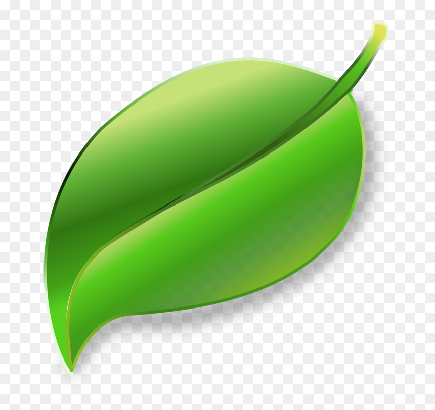 Hoja De Medio Ambiente, HD Png Download - leaf png