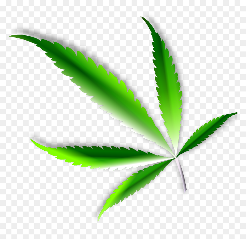 Green Pot Leaf Png, Transparent Png - leaf png