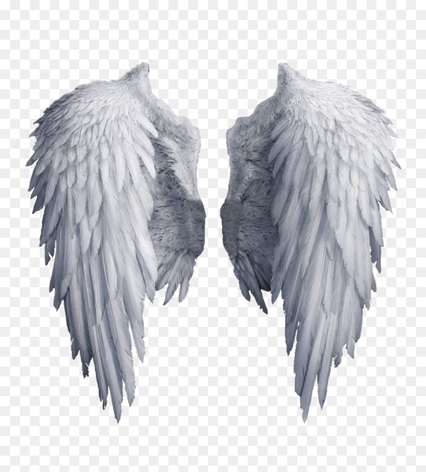 Transparent Background Angel Wings Png, Png Download - wings png