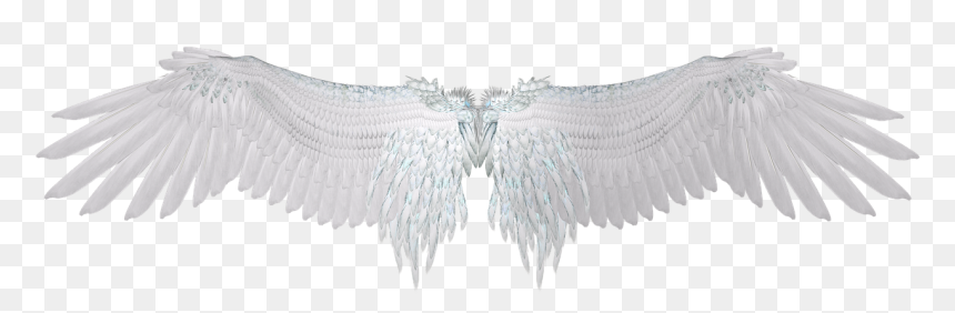 Transparent Angel Silhouette, HD Png Download - wings png