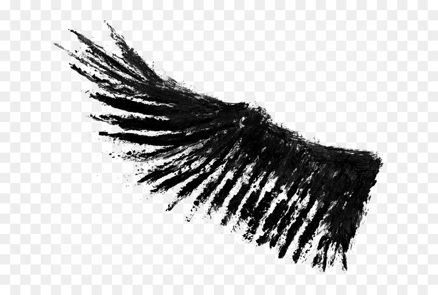 Wings Png, Transparent Png - wings png