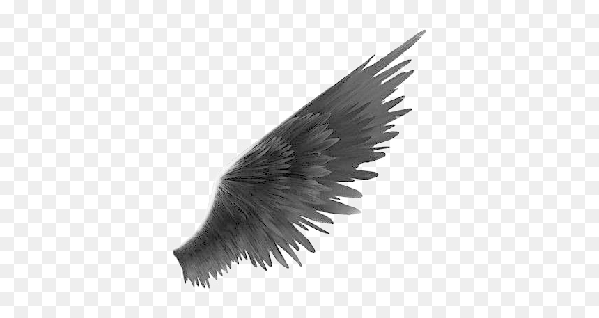 Apollyon Angel Of Death, HD Png Download - wings png