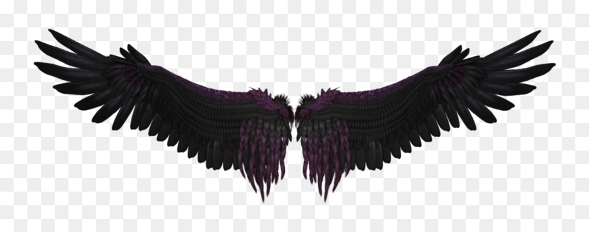 Black Wings Png, Transparent Png - wings png
