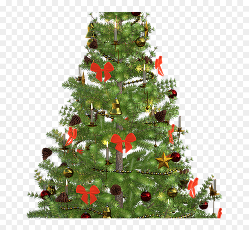 Christmas Day, HD Png Download - christmas lights png