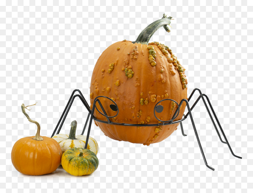 Pumpkin, HD Png Download - pumpkin png