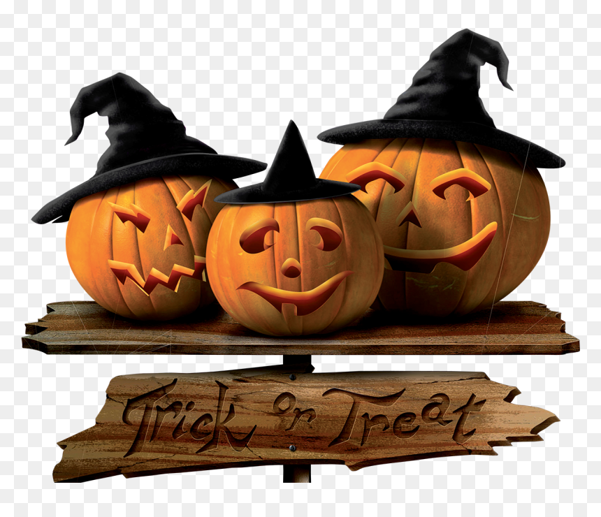 Trick Or Treat Pumpkins Png, Transparent Png - pumpkin png