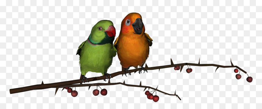 Love Birds Png, Transparent Png - bird png