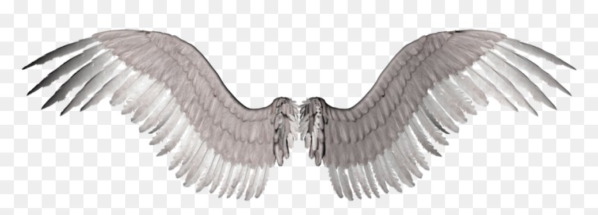 Ivangorod Fortress, HD Png Download - angel wings png