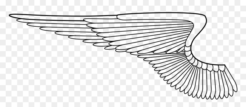Clip Art Wings Transparent Background, HD Png Download - angel wings png