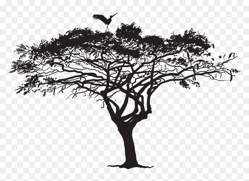 Tree Silhouette Png, Transparent Png - bird png