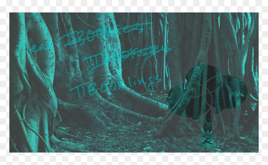 Real Evil, HD Png Download - trees png