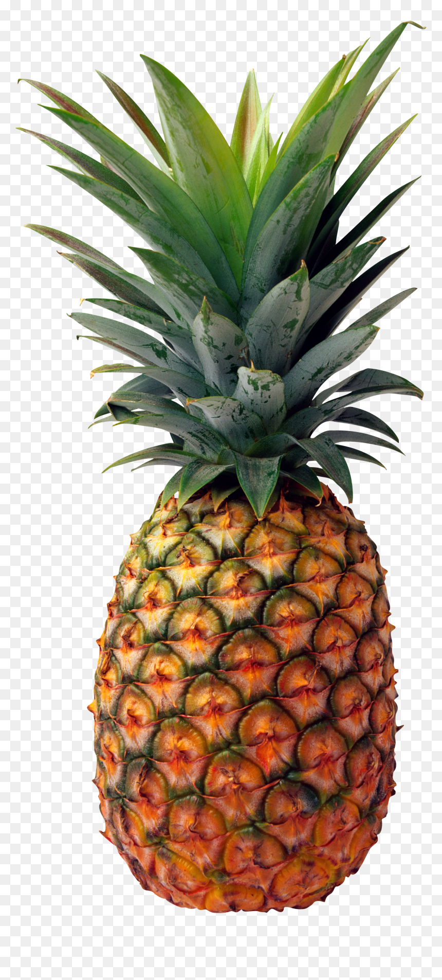 Pineapple Png, Transparent Png - pineapple png