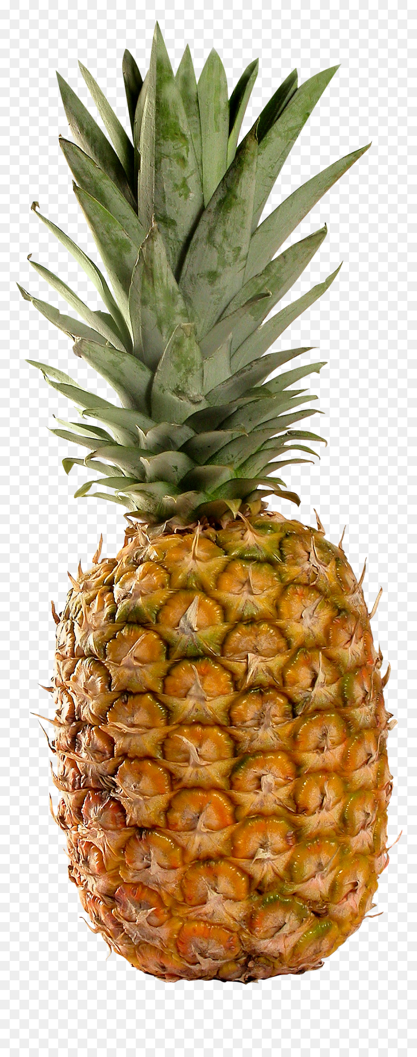 Pineapple Fruit Transparent Background, HD Png Download - pineapple png