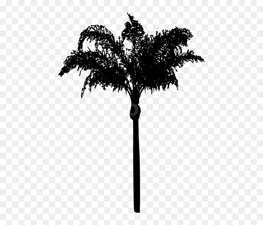 Portable Network Graphics, HD Png Download - trees png