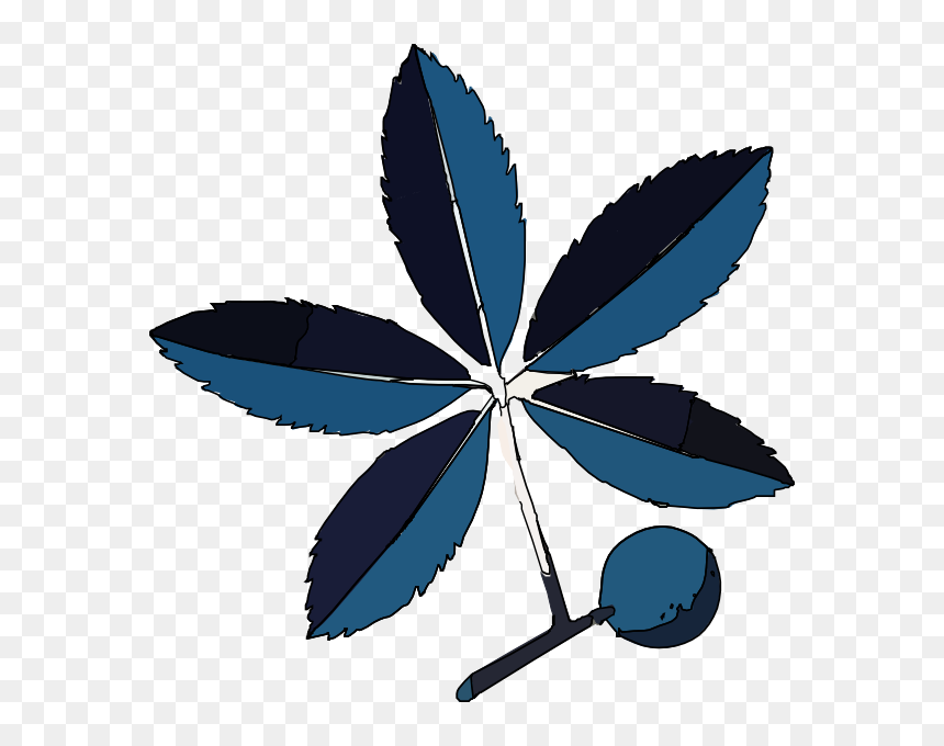Conservation Of Trees Project, HD Png Download - trees png
