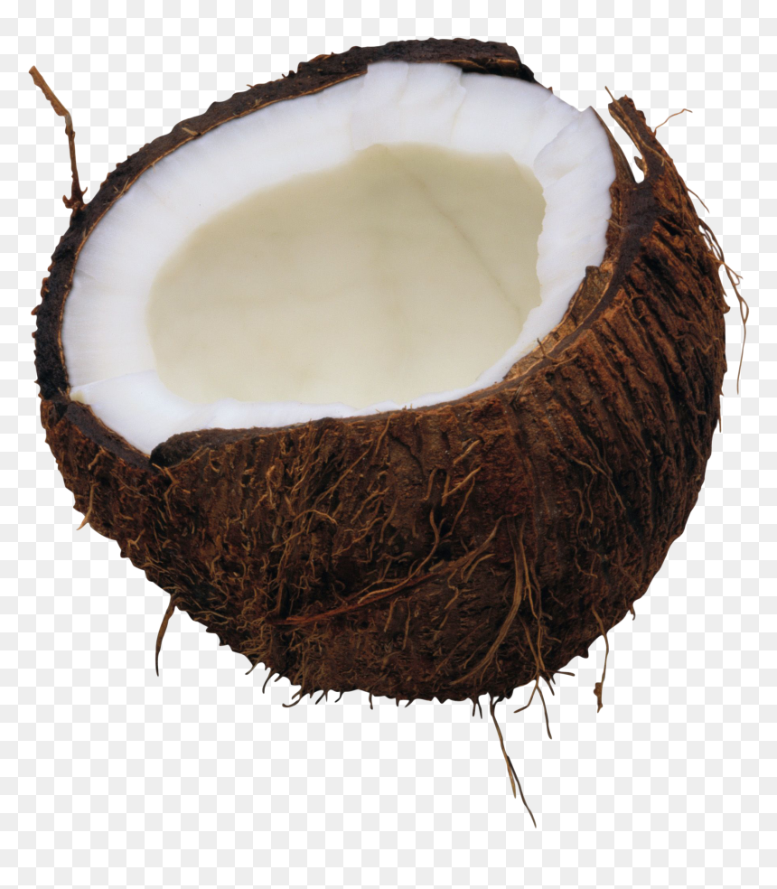 Coconut Png, Transparent Png - coconut png