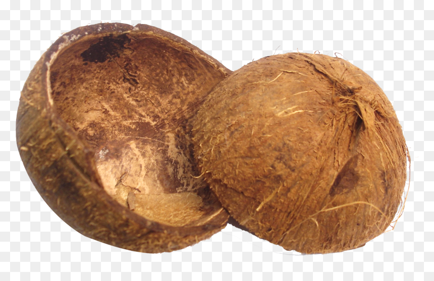 Coconut Shell Png, Transparent Png - coconut png