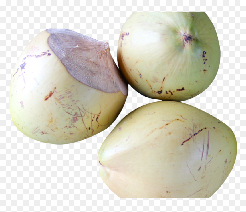 Vegetable, HD Png Download - coconut png