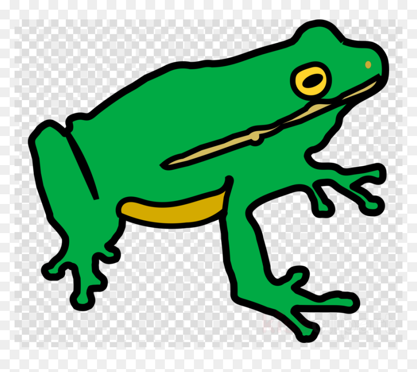 Transparent Background Male And Female Signs, HD Png Download - frog png